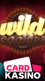 WILD COOKIES: RECENZE AUTOMATU